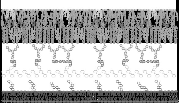 Schematic of the mycobacterial cell envelope (placeholder image).
